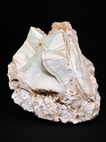Stilbite & Heulandite on Matrix — Unst, Shetland Islands, Scotland