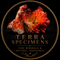 Terra Specimens  - Home