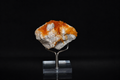 Root Beer Calcite – Dachang Mine, China – 196 g
