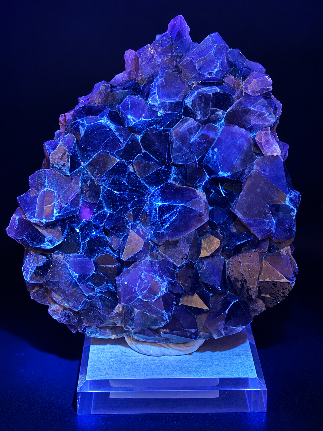Alien Amethyst Cluster — Rajasthan, India | Cabinet Specimen on Acrylic Base