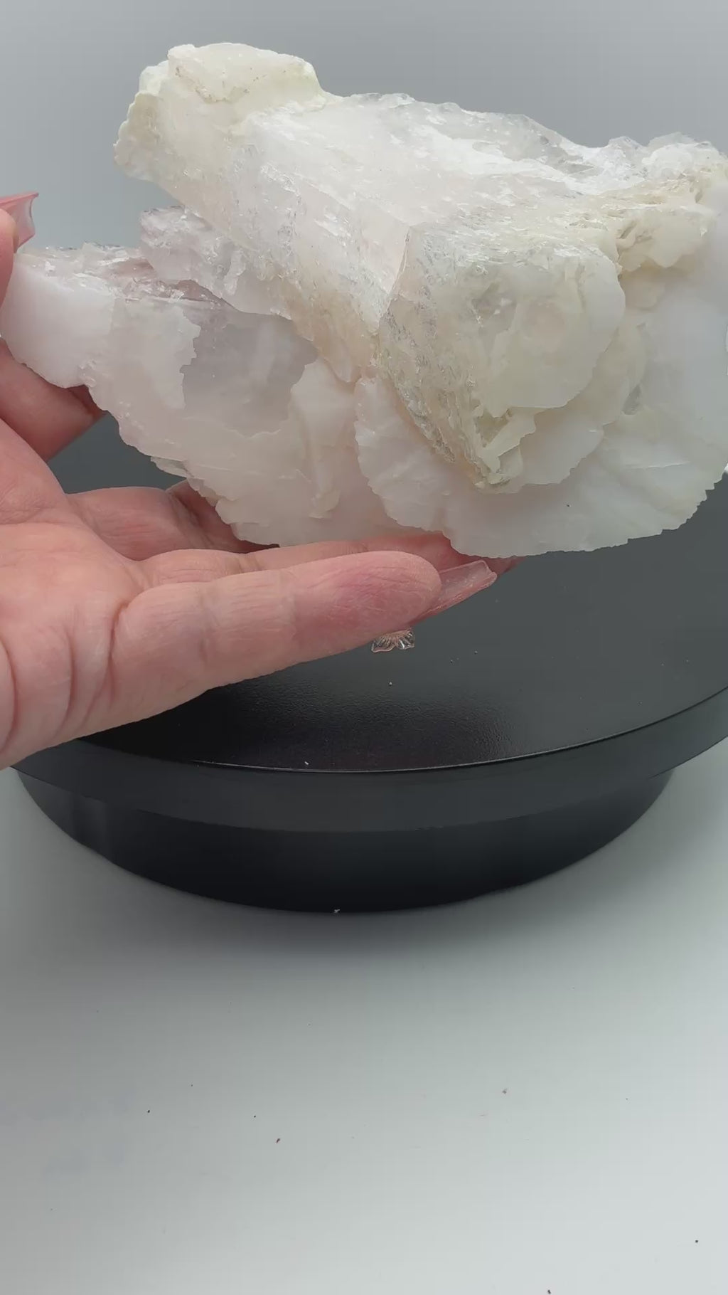 Scheelite Multi-Mineral Specimen – Inner Mongolia