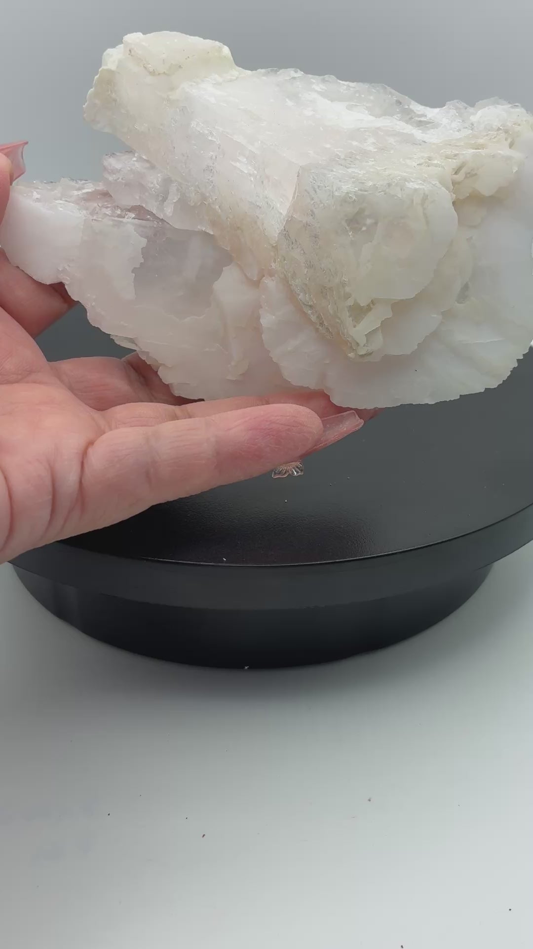 Scheelite Multi-Mineral Specimen – Inner Mongolia